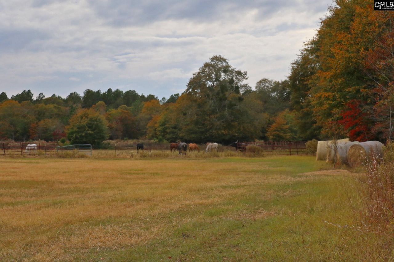 Tbd Browns Pond Road Photo 35