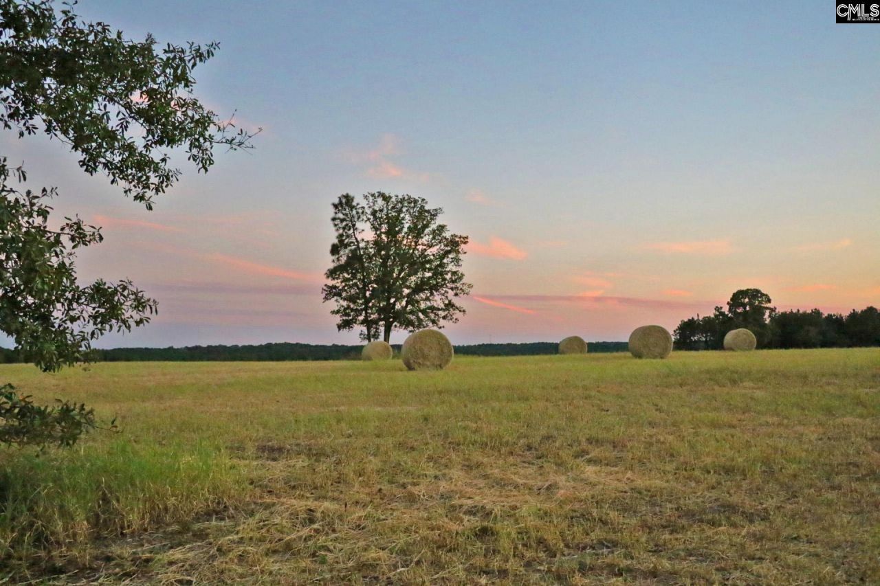 Tbd Browns Pond Road Photo 36