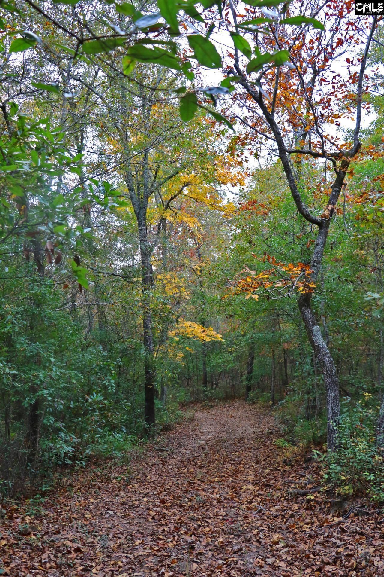 Tbd Browns Pond Road Photo 37