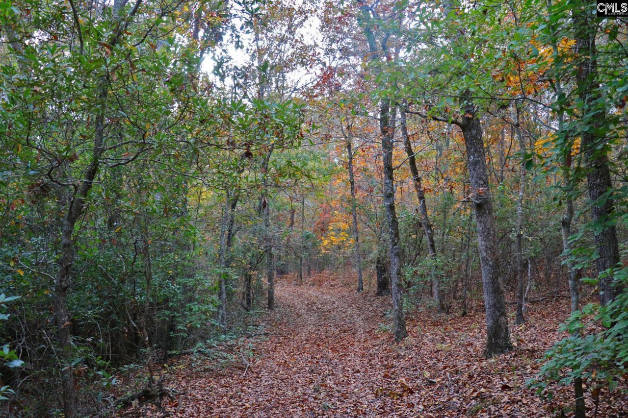 Tbd Browns Pond Road Photo 39