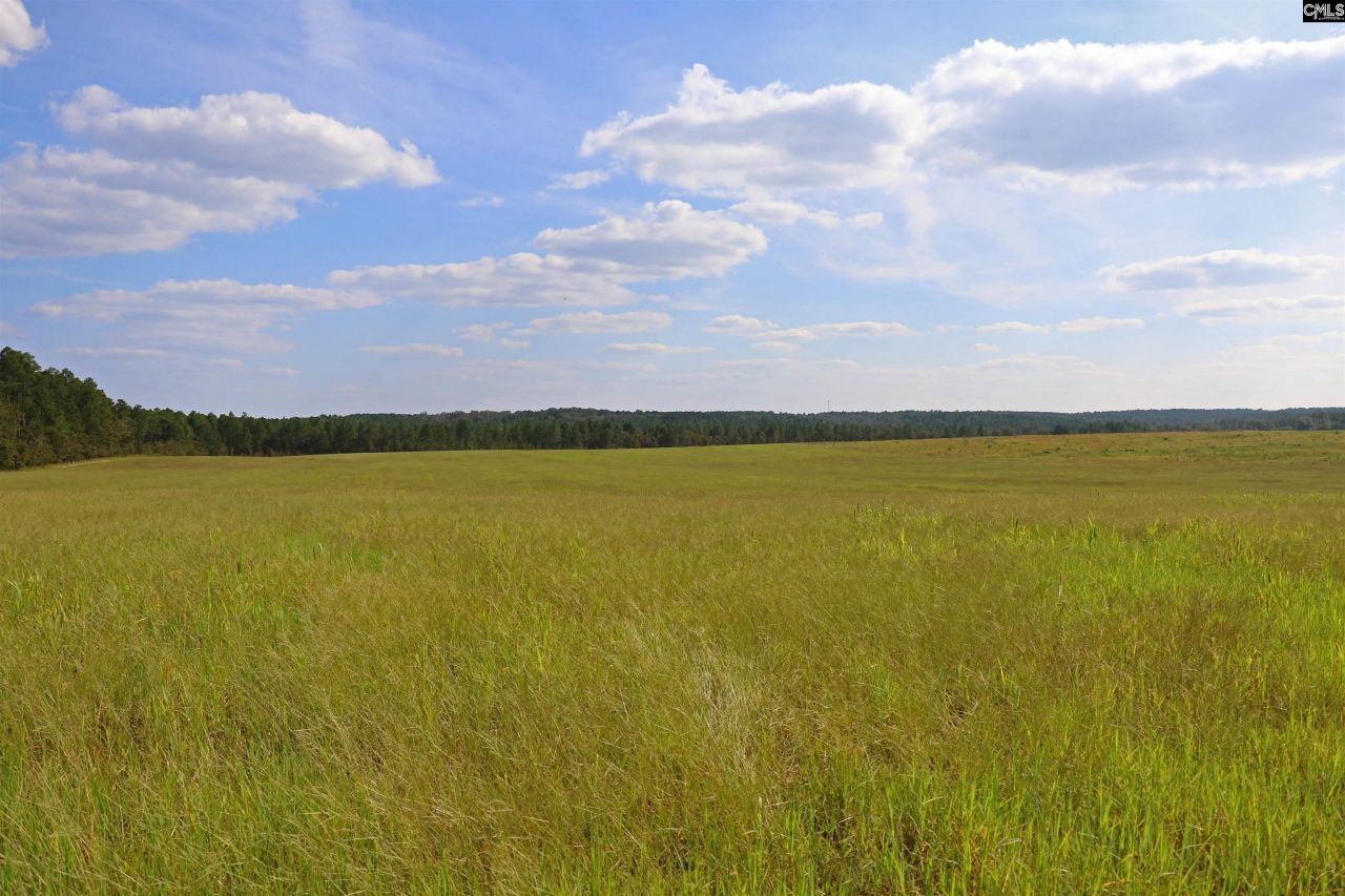 Tbd Browns Pond Road Photo 4