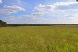 Tbd Browns Pond Road photo 4