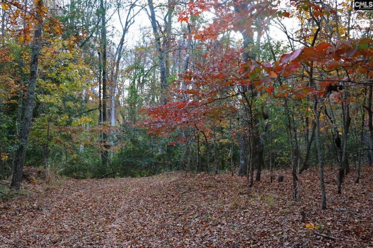 Tbd Browns Pond Road Photo 40