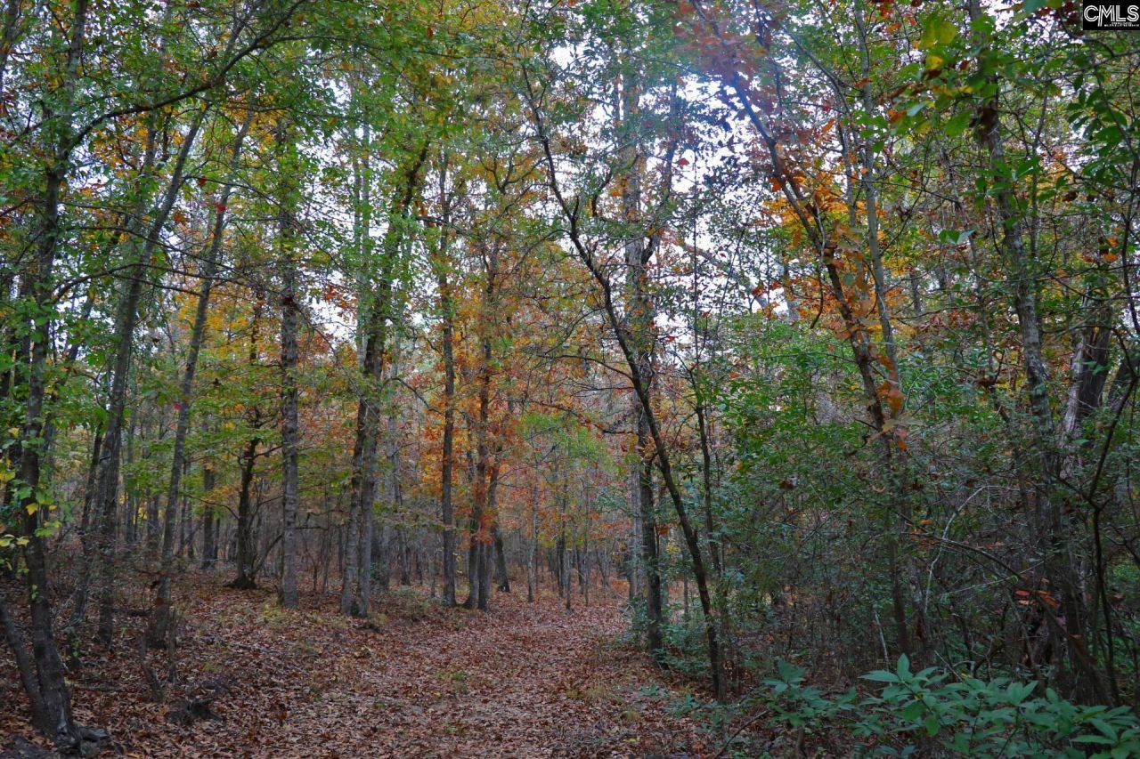 Tbd Browns Pond Road Photo 43