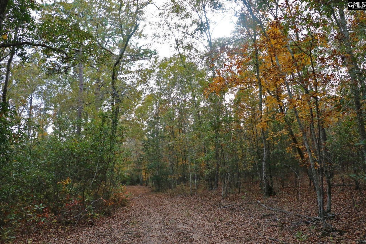 Tbd Browns Pond Road Photo 45