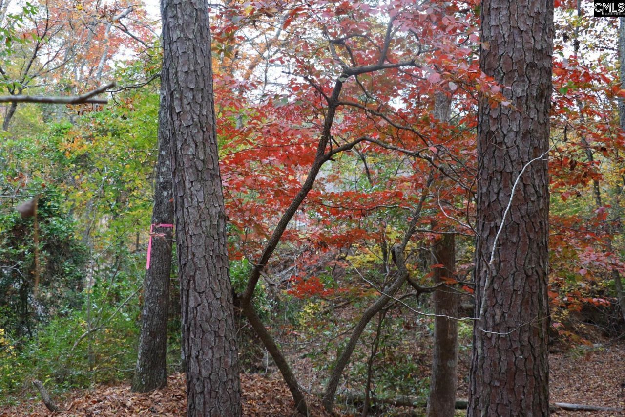 Tbd Browns Pond Road Photo 47