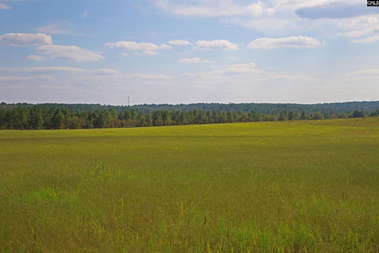 Tbd Browns Pond Road Photo 5