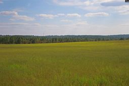 Tbd Browns Pond Road photo 4