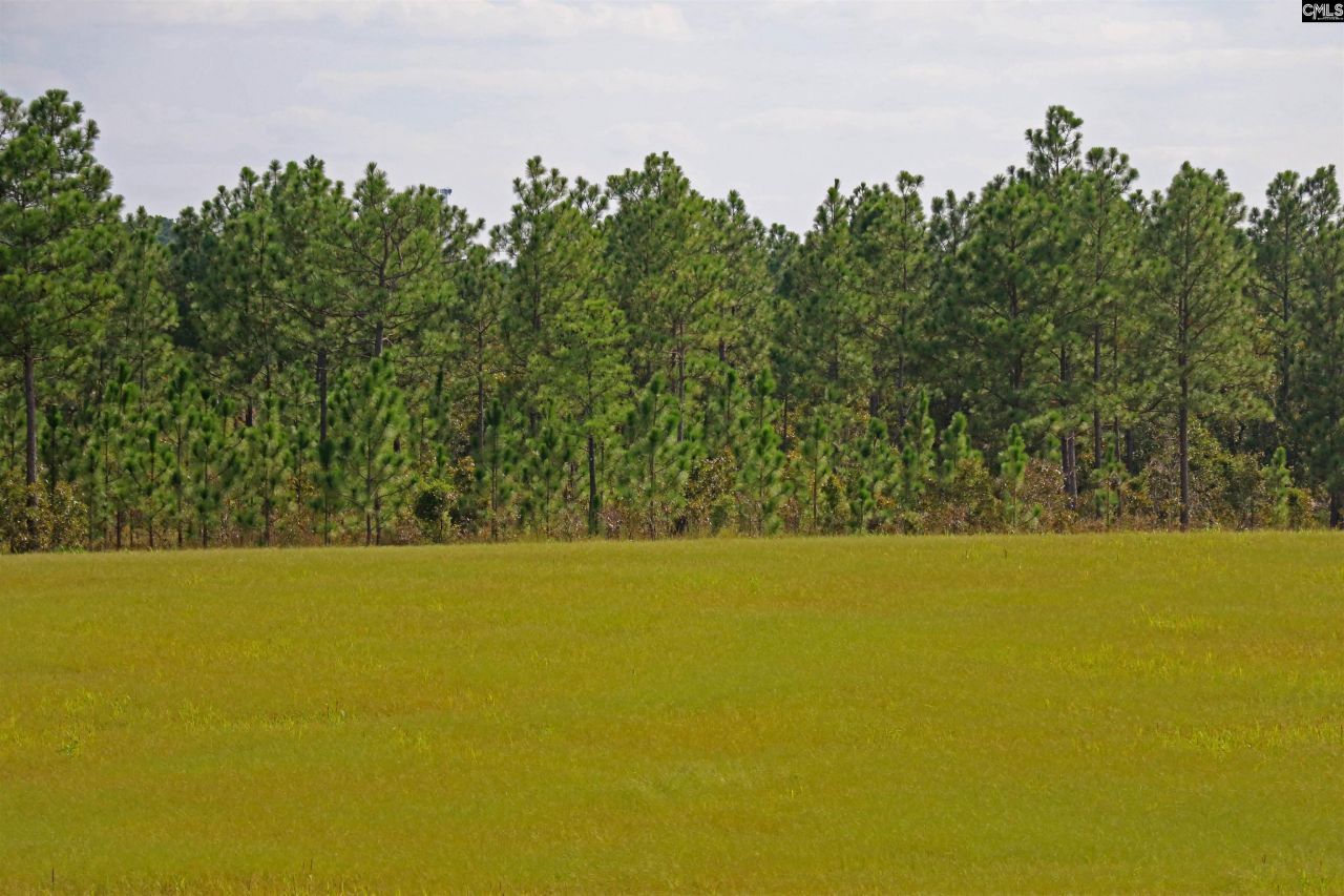 Tbd Browns Pond Road Photo 50