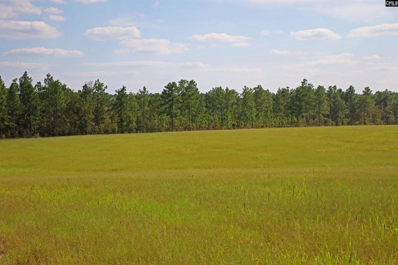 Tbd Browns Pond Road Photo 6