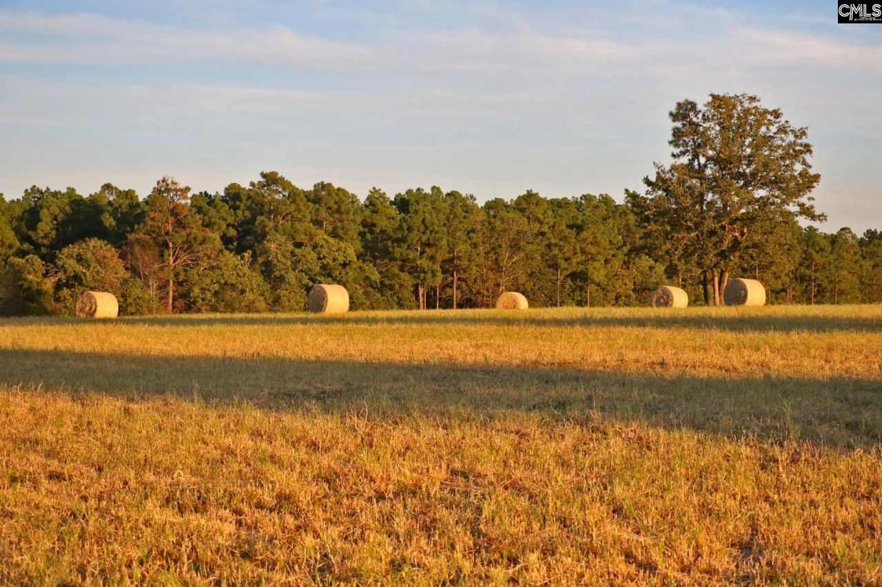 Tbd Browns Pond Road Photo 7