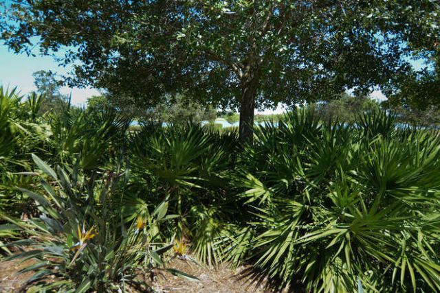 1080 Sterling Pine Place, Loxahatchee, FL 33470 Photo