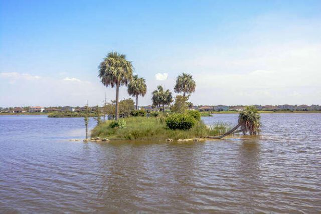 1080 Sterling Pine Place, Loxahatchee, FL 33470 Photo