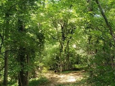 N Baltimore Avenue, Gladstone, MO 64118