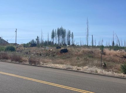 10141 Grizzly Flat Rd, Grizzly Flats, CA 95636 Photo