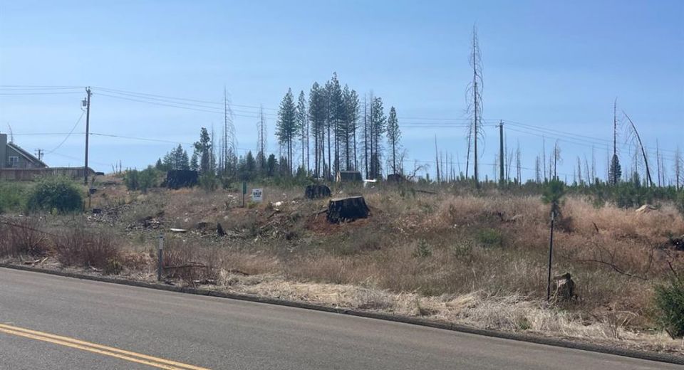 10141 Grizzly Flat Rd, Grizzly Flats, CA 95636 Photo