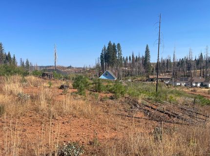 10141 Grizzly Flat Rd, Grizzly Flats, CA 95636 Photo