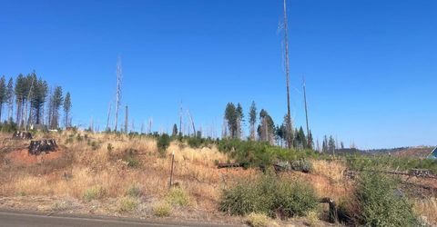 10141 Grizzly Flat Rd, Grizzly Flats, CA 95636 Photo