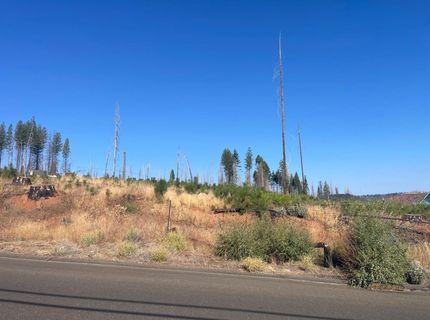 10141 Grizzly Flat Rd, Grizzly Flats, CA 95636 Photo