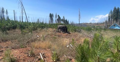 10141 Grizzly Flat Rd, Grizzly Flats, CA 95636 Photo