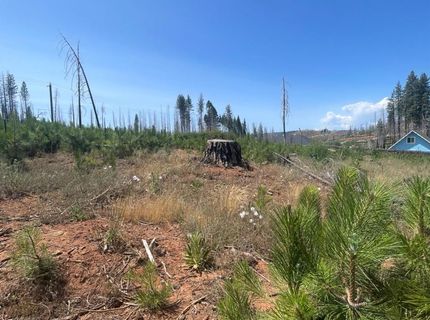 10141 Grizzly Flat Rd, Grizzly Flats, CA 95636 Photo