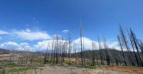 10141 Grizzly Flat Rd, Grizzly Flats, CA 95636 Photo