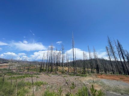 10141 Grizzly Flat Rd, Grizzly Flats, CA 95636 Photo