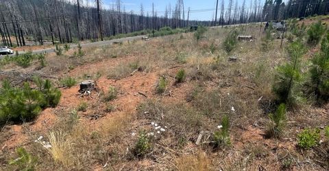 10141 Grizzly Flat Rd, Grizzly Flats, CA 95636 Photo