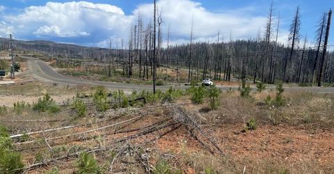 10141 Grizzly Flat Rd, Grizzly Flats, CA 95636 Photo