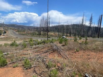 10141 Grizzly Flat Rd, Grizzly Flats, CA 95636 Photo