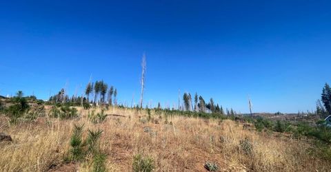 10141 Grizzly Flat Rd, Grizzly Flats, CA 95636 Photo