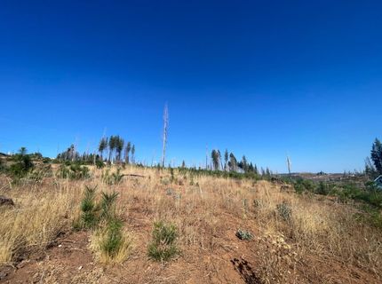 10141 Grizzly Flat Rd, Grizzly Flats, CA 95636 Photo
