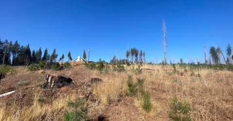 10141 Grizzly Flat Rd, Grizzly Flats, CA 95636 Photo