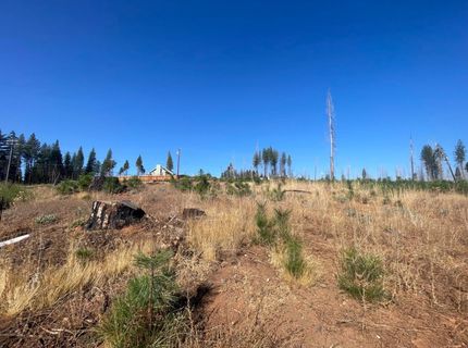 10141 Grizzly Flat Rd, Grizzly Flats, CA 95636 Photo