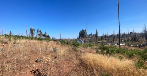 10141 Grizzly Flat Rd, Grizzly Flats, CA 95636 Photo