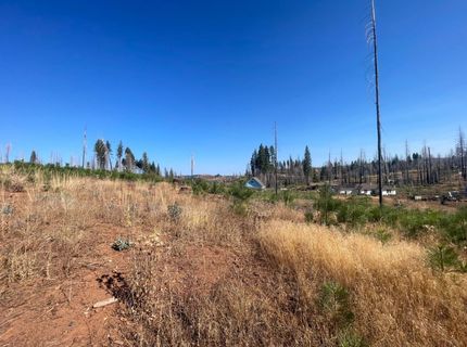 10141 Grizzly Flat Rd, Grizzly Flats, CA 95636 Photo