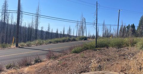 10141 Grizzly Flat Rd, Grizzly Flats, CA 95636 Photo