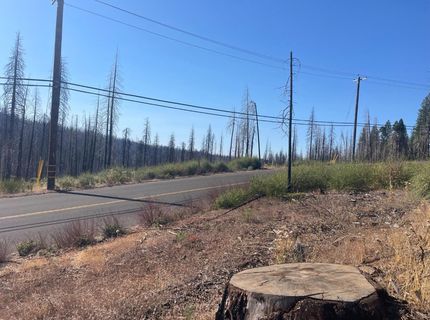 10141 Grizzly Flat Rd, Grizzly Flats, CA 95636 Photo