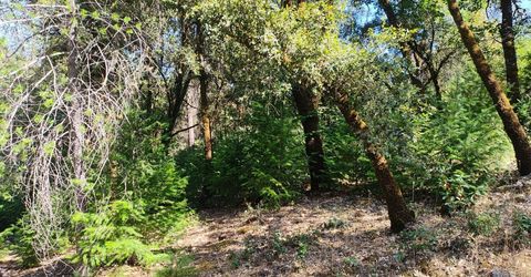 12226 Pine Cone Cir, Grass Valley, CA 95945 Photo