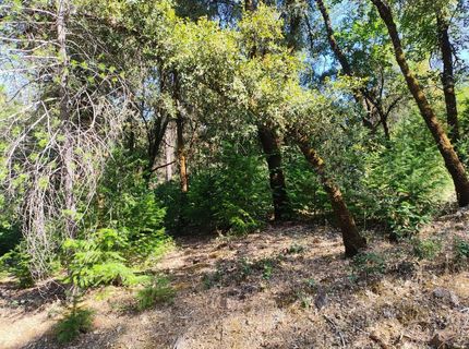 12226 Pine Cone Cir, Grass Valley, CA 95945 Photo