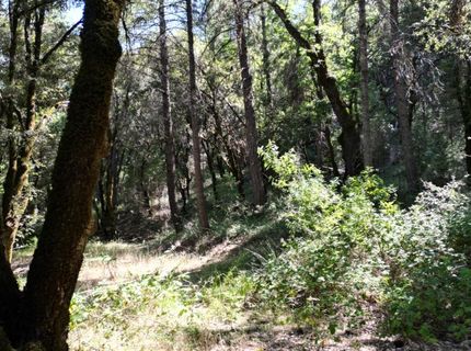 12226 Pine Cone Cir, Grass Valley, CA 95945 Photo