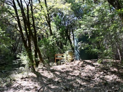 12226 Pine Cone Cir, Grass Valley, CA 95945 Photo