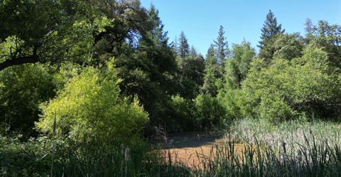 12226 Pine Cone Cir, Grass Valley, CA 95945 Photo