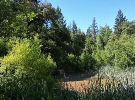 12226 Pine Cone Cir, Grass Valley, CA 95945 Photo