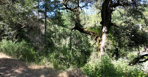 12226 Pine Cone Cir, Grass Valley, CA 95945 Photo