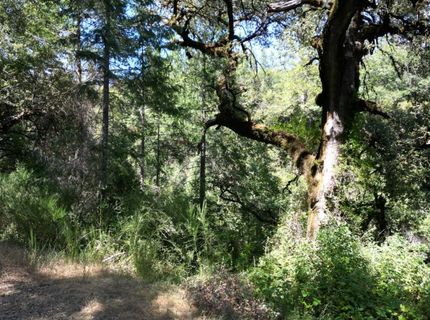 12226 Pine Cone Cir, Grass Valley, CA 95945 Photo