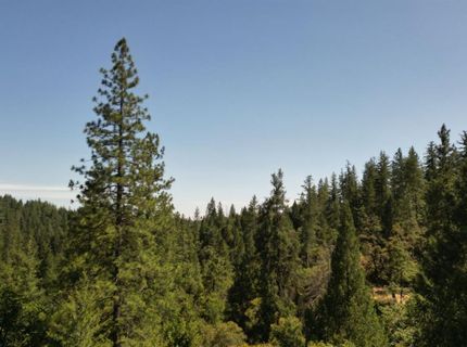 12226 Pine Cone Cir, Grass Valley, CA 95945 Photo