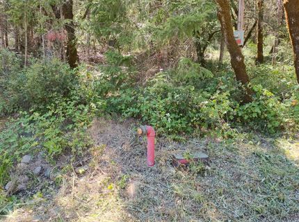 12226 Pine Cone Cir, Grass Valley, CA 95945 Photo