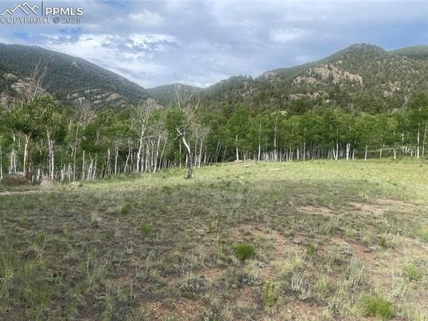 171 Emerald Way, Lake George, CO 80827