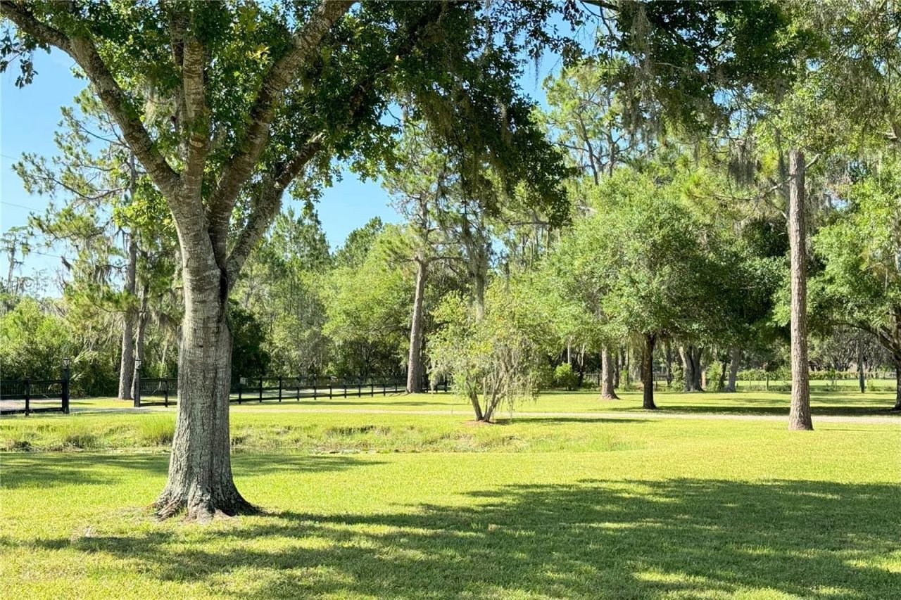 1976 Holy Cow Road, Polk City, FL 33868 Photo